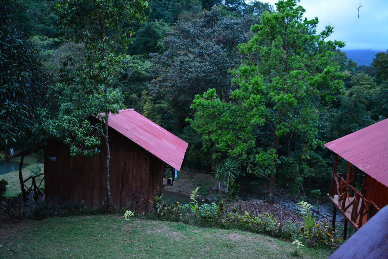 Cabinas Y Restaurante Tilapias La Cascada Hotel Ojochal Exterior photo