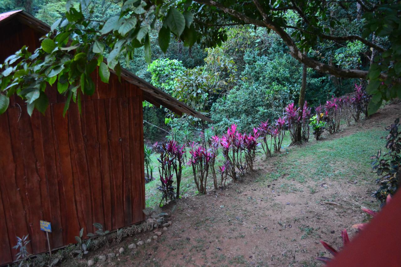 Cabinas Y Restaurante Tilapias La Cascada Hotel Ojochal Exterior photo