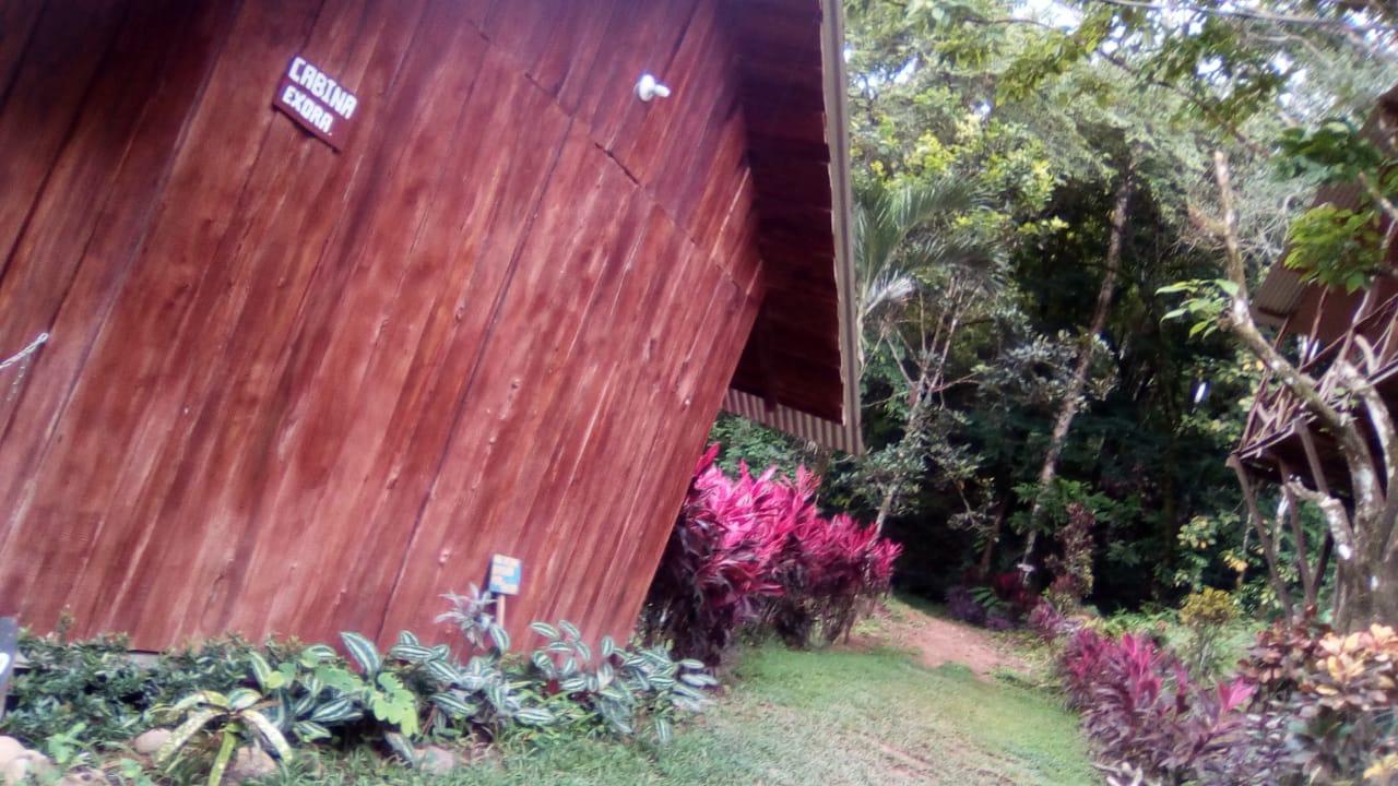 Cabinas Y Restaurante Tilapias La Cascada Hotel Ojochal Exterior photo